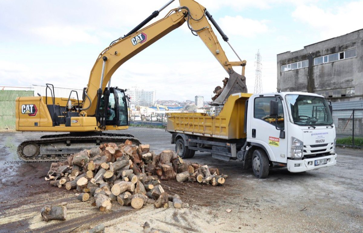 Küçükçekmece’de Budanan Ağaçlar Isıya Dönüşüyor: İhtiyaç Sahiplerine Ücretsiz Yakacak Desteği